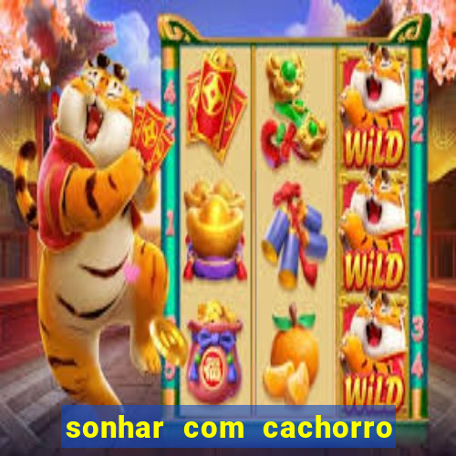 sonhar com cachorro numeros da mega sena